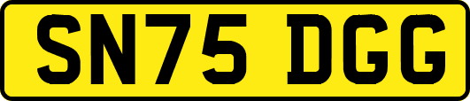 SN75DGG