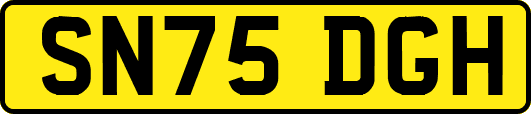 SN75DGH