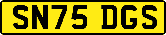 SN75DGS