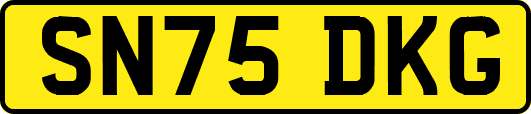 SN75DKG