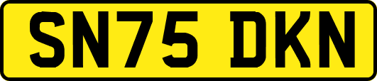 SN75DKN