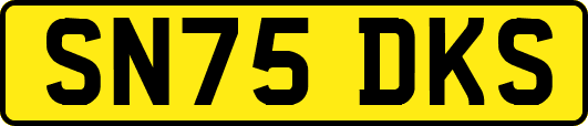 SN75DKS