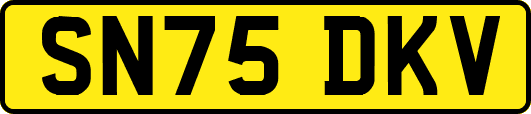 SN75DKV