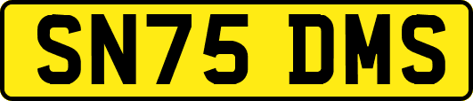 SN75DMS