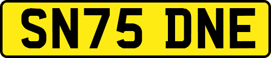 SN75DNE