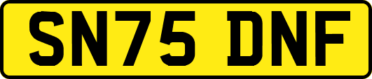 SN75DNF
