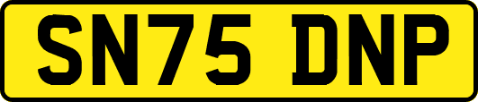 SN75DNP