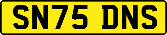 SN75DNS