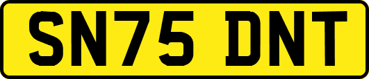 SN75DNT