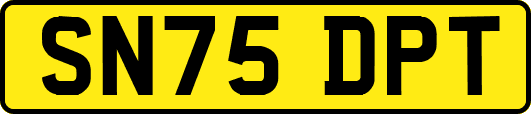 SN75DPT