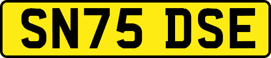 SN75DSE