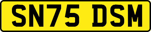 SN75DSM