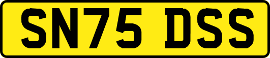 SN75DSS