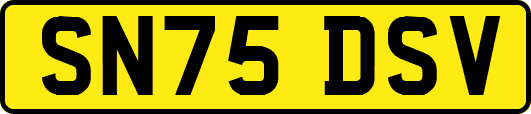 SN75DSV