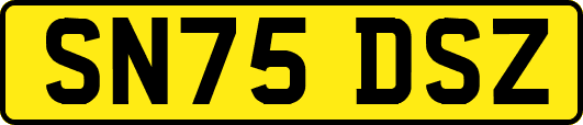 SN75DSZ
