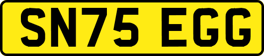 SN75EGG