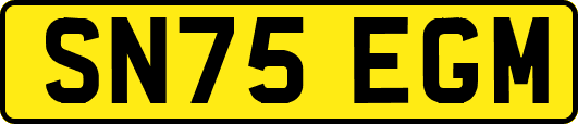SN75EGM