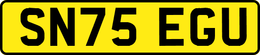SN75EGU