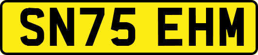 SN75EHM
