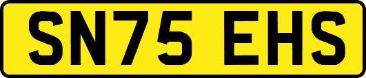 SN75EHS