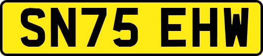 SN75EHW