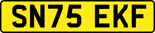 SN75EKF