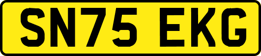 SN75EKG