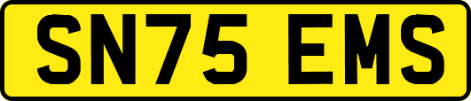 SN75EMS