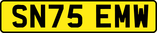 SN75EMW