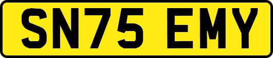 SN75EMY