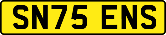 SN75ENS