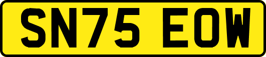 SN75EOW