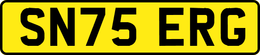 SN75ERG