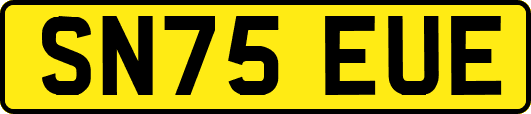 SN75EUE