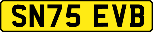 SN75EVB