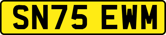SN75EWM