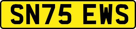 SN75EWS