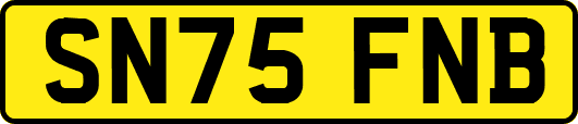 SN75FNB