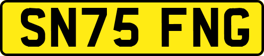 SN75FNG