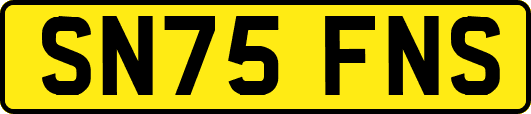 SN75FNS