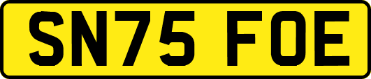 SN75FOE