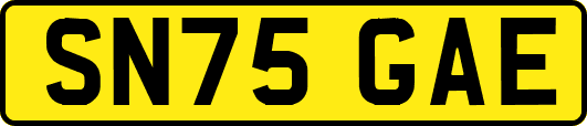 SN75GAE