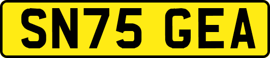 SN75GEA