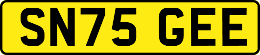 SN75GEE