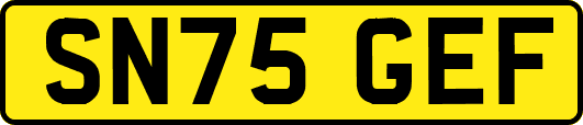 SN75GEF