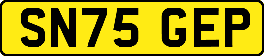 SN75GEP