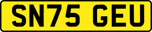 SN75GEU