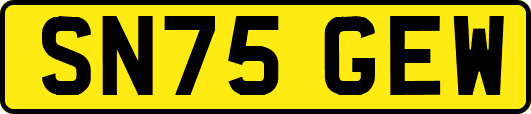 SN75GEW
