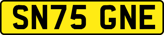SN75GNE