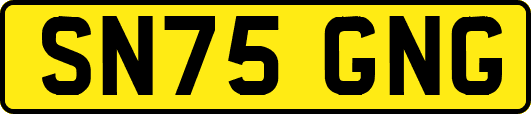 SN75GNG